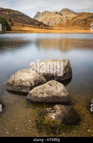 Calma la sera a Blea Tarn, Langdale, con The Langdale Pikes riflessa in background, inglese parco Nazionale del Distretto dei Laghi Foto Stock