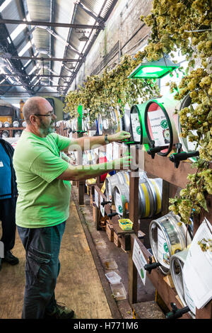 Inghilterra, Tunbridge Wells. CAMRA la birra e il festival ale. Uomo maturo permanente e la colata di una pinta di birra dalla canna, tra i filari di vari barili di birra. Foto Stock