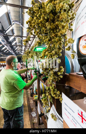 Inghilterra, Tunbridge Wells. CAMRA la birra e il festival ale. Uomo maturo permanente e la colata di una pinta di birra dalla canna, tra i filari di vari barili di birra. Foto Stock