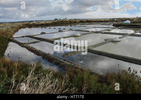 Sale stagni di evaporazione in Guerande, Bretagna Francia Foto Stock