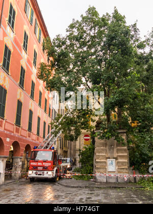 La scaletta della piattaforma girevole del Campionato Italiano Vigili del Fuoco, costruito da Iveco Magirus. I vigili del fuoco il taglio di un albero danneggiato da una tempesta. Foto Stock