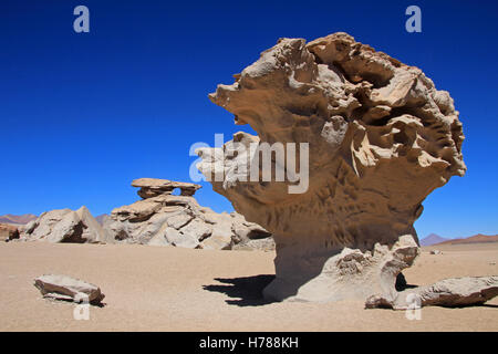 La famosa formazione rocciosa di pietra o albero Arbol de piedra nel deserto del sud-ovest della Bolivia, Sud America Foto Stock