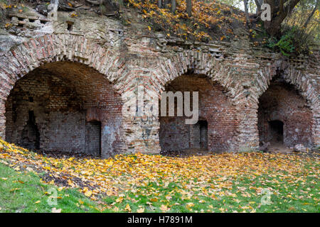 Le fortificazioni nel parco della Cittadella di Poznan Foto Stock