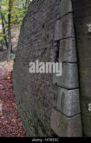 Le fortificazioni nel parco della Cittadella di Poznan Foto Stock