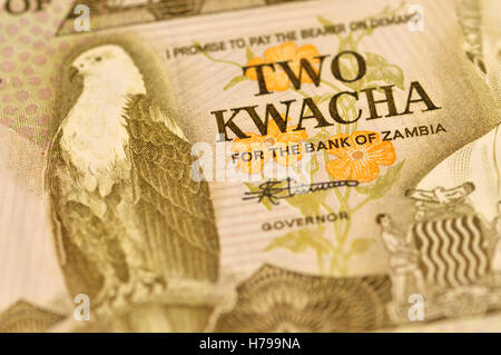 Due dello Zambia Kwacha banconota di 1987 - dettaglio mostrante un pesce eagle Foto Stock