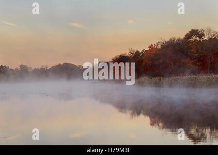 Ottobre mattina sul fiume autunno fiume nebbia foglie di giallo Foto Stock