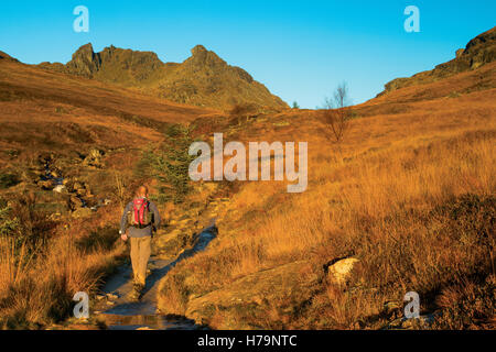 Il ciabattino all'alba, le Alpi a Arrochar, Loch Lomond e il Trossachs National Park, Argyll & Bute Foto Stock