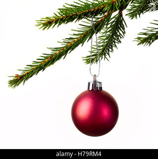 Red palla di Natale appeso in abete isolato su sfondo bianco Foto Stock