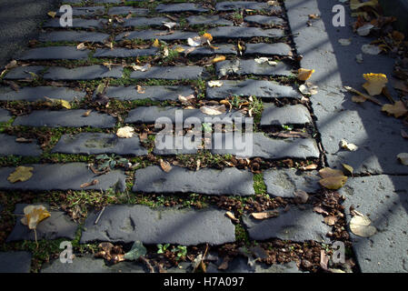 Perfetta tratto di acciottolato Glasgow in Scozia Foto Stock