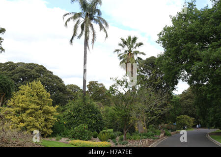 Il Royal Botanic Gardens di Melbourne. Foto Stock