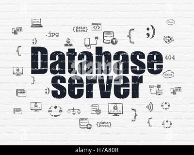 Concetto di programmazione: Server Database su sfondo a parete Foto Stock