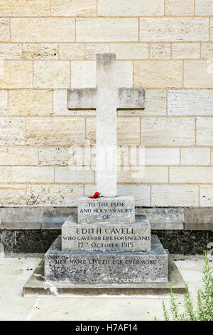 Croce di pietra lapide presso la tomba e monumento al martire nurse Edith Cavell girato all'alba, Norwich Cathedral, Norfolk, East Anglia, Inghilterra orientale Foto Stock