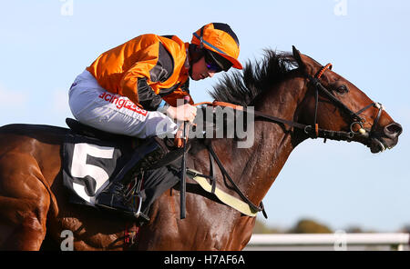 Plumpton, UK. Il 31 ottobre 2016. Orso Jack (cappuccio arancione) cavalcato da Gavin Sheehan visto durante gli allevatori" Cup esclusivamente su a gare Maiden Hurdle © Immagini teleobiettivo / Alamy Live News Foto Stock