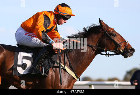 Plumpton, UK. Il 31 ottobre 2016. Orso Jack (cappuccio arancione) cavalcato da Gavin Sheehan visto durante gli allevatori" Cup esclusivamente su a gare Maiden Hurdle © Immagini teleobiettivo / Alamy Live News Foto Stock