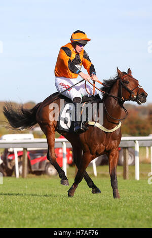 Plumpton, UK. Il 31 ottobre 2016. Orso Jack (cappuccio arancione) cavalcato da Gavin Sheehan visto durante gli allevatori" Cup esclusivamente su a gare Maiden Hurdle © Immagini teleobiettivo / Alamy Live News Foto Stock