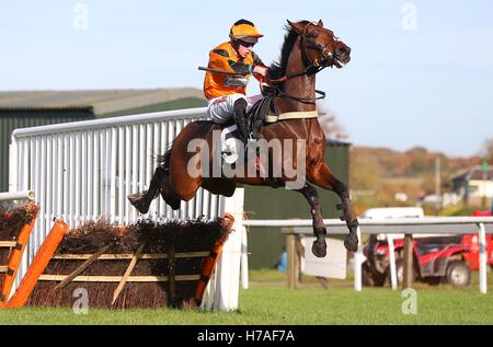 Plumpton, UK. Il 31 ottobre 2016. Orso Jack (cappuccio arancione) cavalcato da Gavin Sheehan visto durante gli allevatori" Cup esclusivamente su a gare Maiden Hurdle © Immagini teleobiettivo / Alamy Live News Foto Stock