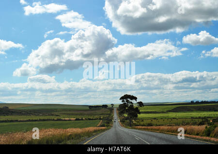 Sud Africa: il mozzafiato paesaggio africano visto da R319, la Scenic Route regionale che conduce dal Garden Route a Cape Agulhas Foto Stock