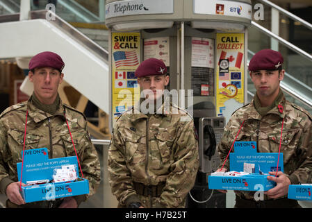 Londra, Regno Unito. 3 Novembre, 2016. Londra appello di papavero lanciare,Reggimento paracadutisti raccoglie per giorno di papavero Credito: Ian Davidson/Alamy Live News Foto Stock