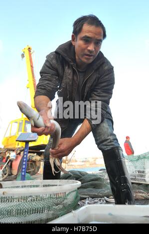 Qingdao, Qingdao, Cina. 3 Novembre, 2016. Qingdao, CINA-novembre 3 2016: (solo uso editoriale. Cina OUT).Il mercato di pesce a Qingdao, Cina orientale della provincia di Shandong, Novembre 3rd, 2016. Piatti a base di frutti di mare freschi è palancole in Qingdao durante il picco di stagione di pesca. Il pesce è venduto al mercato interno e sui mercati esteri, conquistando una grande popolarità. Inoltre alcuni dei piatti a base di frutti di mare freschi saranno trasformati in prodotti a base di pesce a stabilimenti di trasformazione nelle vicinanze. © SIPA Asia/ZUMA filo/Alamy Live News Foto Stock