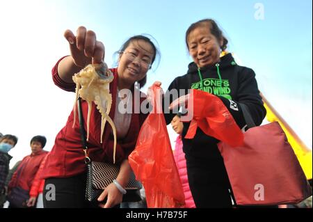 Qingdao, Qingdao, Cina. 3 Novembre, 2016. Qingdao, CINA-novembre 3 2016: (solo uso editoriale. Cina OUT).Il mercato di pesce a Qingdao, Cina orientale della provincia di Shandong, Novembre 3rd, 2016. Piatti a base di frutti di mare freschi è palancole in Qingdao durante il picco di stagione di pesca. Il pesce è venduto al mercato interno e sui mercati esteri, conquistando una grande popolarità. Inoltre alcuni dei piatti a base di frutti di mare freschi saranno trasformati in prodotti a base di pesce a stabilimenti di trasformazione nelle vicinanze. © SIPA Asia/ZUMA filo/Alamy Live News Foto Stock