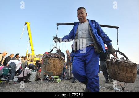 Qingdao, Qingdao, Cina. 3 Novembre, 2016. Qingdao, CINA-novembre 3 2016: (solo uso editoriale. Cina OUT).Il mercato di pesce a Qingdao, Cina orientale della provincia di Shandong, Novembre 3rd, 2016. Piatti a base di frutti di mare freschi è palancole in Qingdao durante il picco di stagione di pesca. Il pesce è venduto al mercato interno e sui mercati esteri, conquistando una grande popolarità. Inoltre alcuni dei piatti a base di frutti di mare freschi saranno trasformati in prodotti a base di pesce a stabilimenti di trasformazione nelle vicinanze. © SIPA Asia/ZUMA filo/Alamy Live News Foto Stock