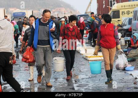 Qingdao, Qingdao, Cina. 3 Novembre, 2016. Qingdao, CINA-novembre 3 2016: (solo uso editoriale. Cina OUT).Il mercato di pesce a Qingdao, Cina orientale della provincia di Shandong, Novembre 3rd, 2016. Piatti a base di frutti di mare freschi è palancole in Qingdao durante il picco di stagione di pesca. Il pesce è venduto al mercato interno e sui mercati esteri, conquistando una grande popolarità. Inoltre alcuni dei piatti a base di frutti di mare freschi saranno trasformati in prodotti a base di pesce a stabilimenti di trasformazione nelle vicinanze. © SIPA Asia/ZUMA filo/Alamy Live News Foto Stock