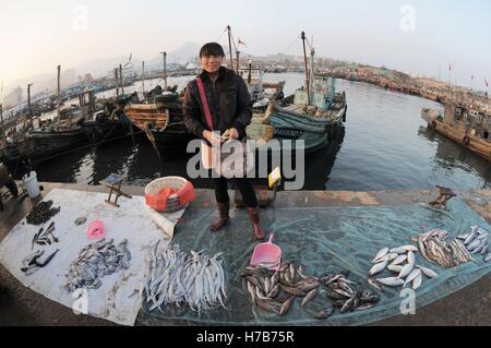 Qingdao, Qingdao, Cina. 3 Novembre, 2016. Qingdao, CINA-novembre 3 2016: (solo uso editoriale. Cina OUT).Il mercato di pesce a Qingdao, Cina orientale della provincia di Shandong, Novembre 3rd, 2016. Piatti a base di frutti di mare freschi è palancole in Qingdao durante il picco di stagione di pesca. Il pesce è venduto al mercato interno e sui mercati esteri, conquistando una grande popolarità. Inoltre alcuni dei piatti a base di frutti di mare freschi saranno trasformati in prodotti a base di pesce a stabilimenti di trasformazione nelle vicinanze. © SIPA Asia/ZUMA filo/Alamy Live News Foto Stock
