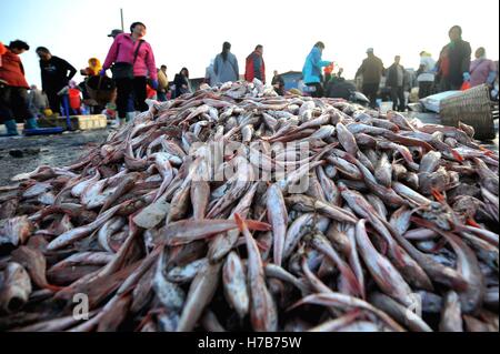 Qingdao, Qingdao, Cina. 3 Novembre, 2016. Qingdao, CINA-novembre 3 2016: (solo uso editoriale. Cina OUT).Il mercato di pesce a Qingdao, Cina orientale della provincia di Shandong, Novembre 3rd, 2016. Piatti a base di frutti di mare freschi è palancole in Qingdao durante il picco di stagione di pesca. Il pesce è venduto al mercato interno e sui mercati esteri, conquistando una grande popolarità. Inoltre alcuni dei piatti a base di frutti di mare freschi saranno trasformati in prodotti a base di pesce a stabilimenti di trasformazione nelle vicinanze. © SIPA Asia/ZUMA filo/Alamy Live News Foto Stock