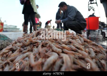 Qingdao, Qingdao, Cina. 3 Novembre, 2016. Qingdao, CINA-novembre 3 2016: (solo uso editoriale. Cina OUT).Il mercato di pesce a Qingdao, Cina orientale della provincia di Shandong, Novembre 3rd, 2016. Piatti a base di frutti di mare freschi è palancole in Qingdao durante il picco di stagione di pesca. Il pesce è venduto al mercato interno e sui mercati esteri, conquistando una grande popolarità. Inoltre alcuni dei piatti a base di frutti di mare freschi saranno trasformati in prodotti a base di pesce a stabilimenti di trasformazione nelle vicinanze. © SIPA Asia/ZUMA filo/Alamy Live News Foto Stock