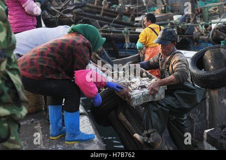 Qingdao, Qingdao, Cina. 3 Novembre, 2016. Qingdao, CINA-novembre 3 2016: (solo uso editoriale. Cina OUT).Il mercato di pesce a Qingdao, Cina orientale della provincia di Shandong, Novembre 3rd, 2016. Piatti a base di frutti di mare freschi è palancole in Qingdao durante il picco di stagione di pesca. Il pesce è venduto al mercato interno e sui mercati esteri, conquistando una grande popolarità. Inoltre alcuni dei piatti a base di frutti di mare freschi saranno trasformati in prodotti a base di pesce a stabilimenti di trasformazione nelle vicinanze. © SIPA Asia/ZUMA filo/Alamy Live News Foto Stock