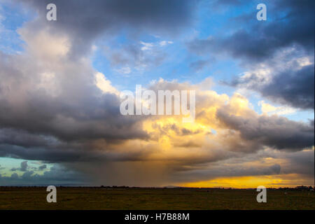 Southport, Merseyside Regno Unito Meteo. 4 Novembre, 2016. Pesante docce localizzate al di sopra del Ribble Estuary, Lancashire. La previsione è per gli incantesimi di pesanti piogge showery che riguardano principalmente il nord occidentali e meridionali. Ci sarà qualche raggio di sole di troppo ma sensazione piccante, con venti rafforzamento più tardi, in particolare nel nord-est. Credito: MediaWorldImages/Alamy Live News Foto Stock