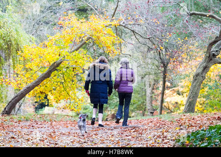 Il torneo di Wimbledon di Londra, Regno Unito. Il 4 novembre 2016. La gente a piedi su Wimbledon Common sul grigio di una giornata autunnale Credito: amer ghazzal/Alamy Live News Foto Stock