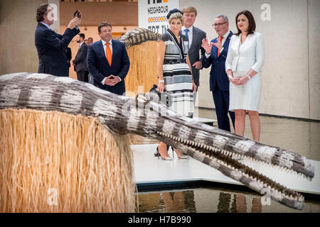 Brisbane, Australia. 4 Novembre, 2016. Sydney, Australia. 04 Nov, 2016. Nessun filo Servizio © dpa/Alamy Live News Credito: dpa picture alliance/Alamy Live News Foto Stock