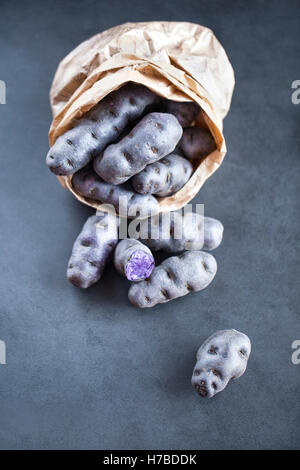 Vitelotte, chiamato anche Vitelotte noire, Négresse o truffe de Chine, è un gourmet francese varietà di blu-viola di patate. Foto Stock