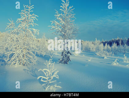 Paesaggio invernale.coperto di neve e rami di alberi e arbusti Foto Stock