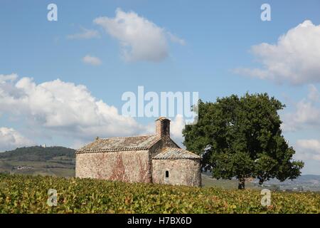 Cappella di Saint Pierre nel Beaujolais con Mont Brouilly, Francia Foto Stock