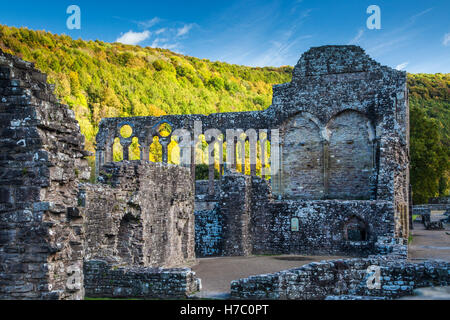 Tintern Abbey in Monmouthshire, Galles. Foto Stock