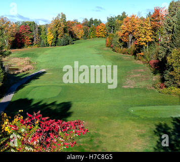 Par 5 Greensmere Foto Stock