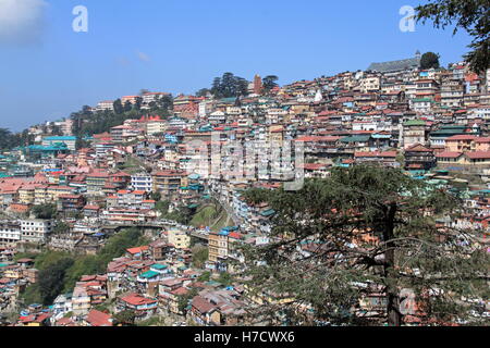 Shimla, Himachal Pradesh, India, il subcontinente indiano, Asia del Sud Foto Stock