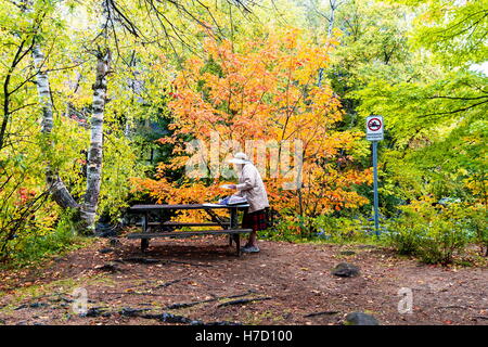 Inizio autunno a prendere influisce sul paese cottage in Quebec del nord. Ruotando gli alberi di sangue rosso prima dell'inverno assalto. Foto Stock