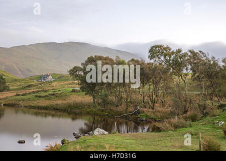 Cregennan laghi, Gwynedd, Snowdonia National Park, North Wales, Regno Unito Foto Stock