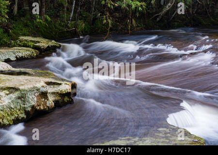 Flusso nella foresta tropicale di Phu Kradueng national park, Loei Thailandia. Foto Stock