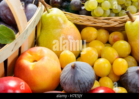 Altra frutta di stagione, prugne, pere, uva Foto Stock