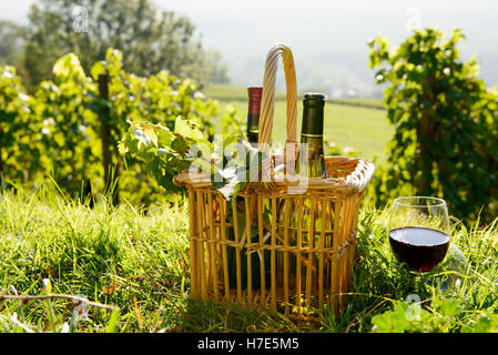 Cestello e due bottiglie di vino con un vigneto in background Foto Stock