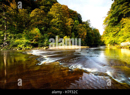 Una fotografia di Allen banche in Northumberland durante l'autunno. Foto Stock