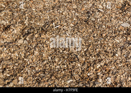 legno scheggiato Foto Stock