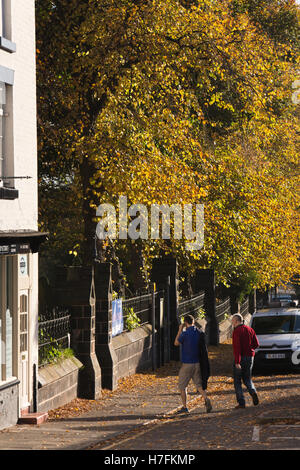 Regno Unito, Inghilterra, Cheshire, Sandbach, High Street, alberi autunnali nella St Mary's sagrato Foto Stock