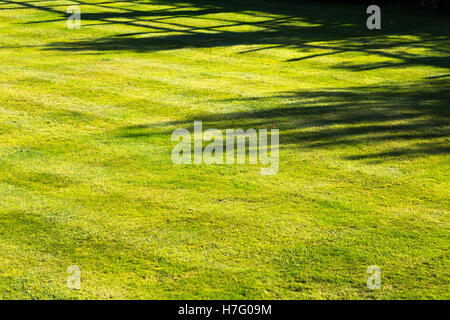 Autunno ombra / ombre & autunnale di bassa sun: taglio fresco striata prato / striped erba in giardino / gardens. Ottobre / Novembre. Regno Unito Foto Stock