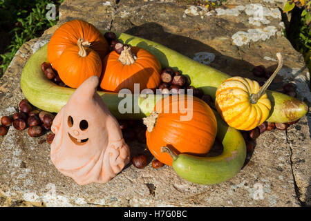 Disposizione di Halloween Lampada Lanterna con autunnali coloquintidi ornamentali ( gourd ), schiaccia ( squash ) e i dadi, in autunno. Regno Unito Foto Stock