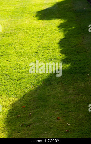 Autunno ombra / ombre & autunnale di bassa sun: taglio fresco striata prato / striped erba in giardino / gardens. Ottobre / Novembre. Regno Unito Foto Stock